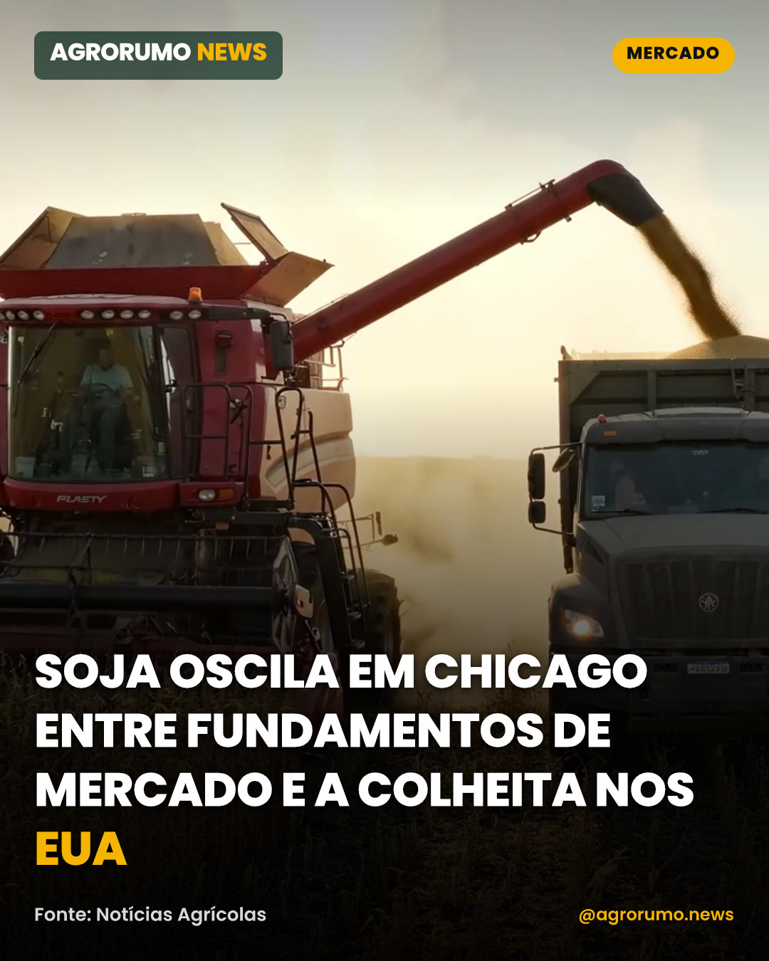 Soja oscila em Chicago entre fundamentos de mercado e a colheita nos EUA