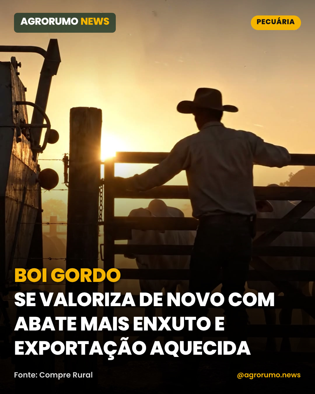 Boi gordo se valoriza de novo com abate mais enxuto e exportação aquecida