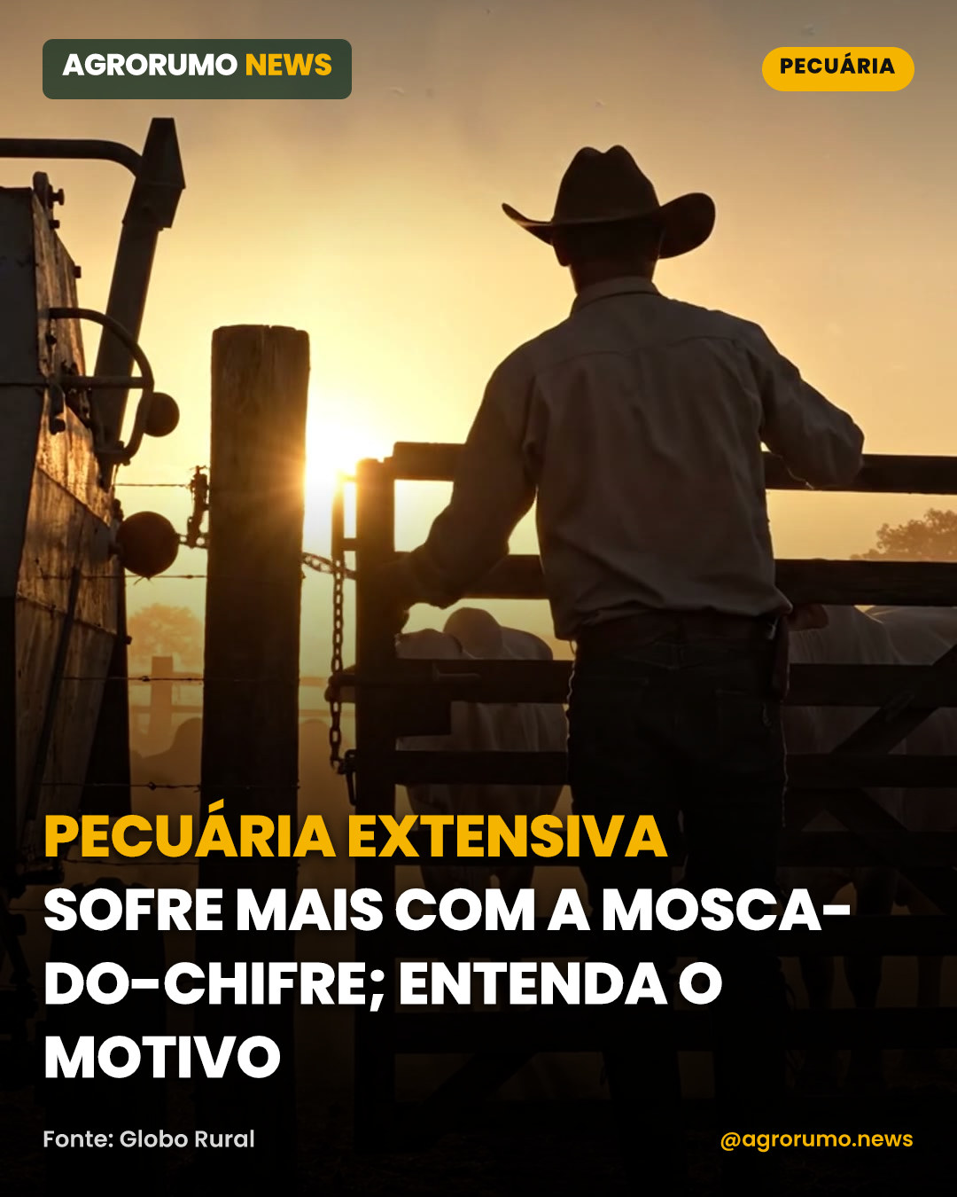 Pecuária extensiva sofre mais com a mosca-do-chifre; entenda o motivo