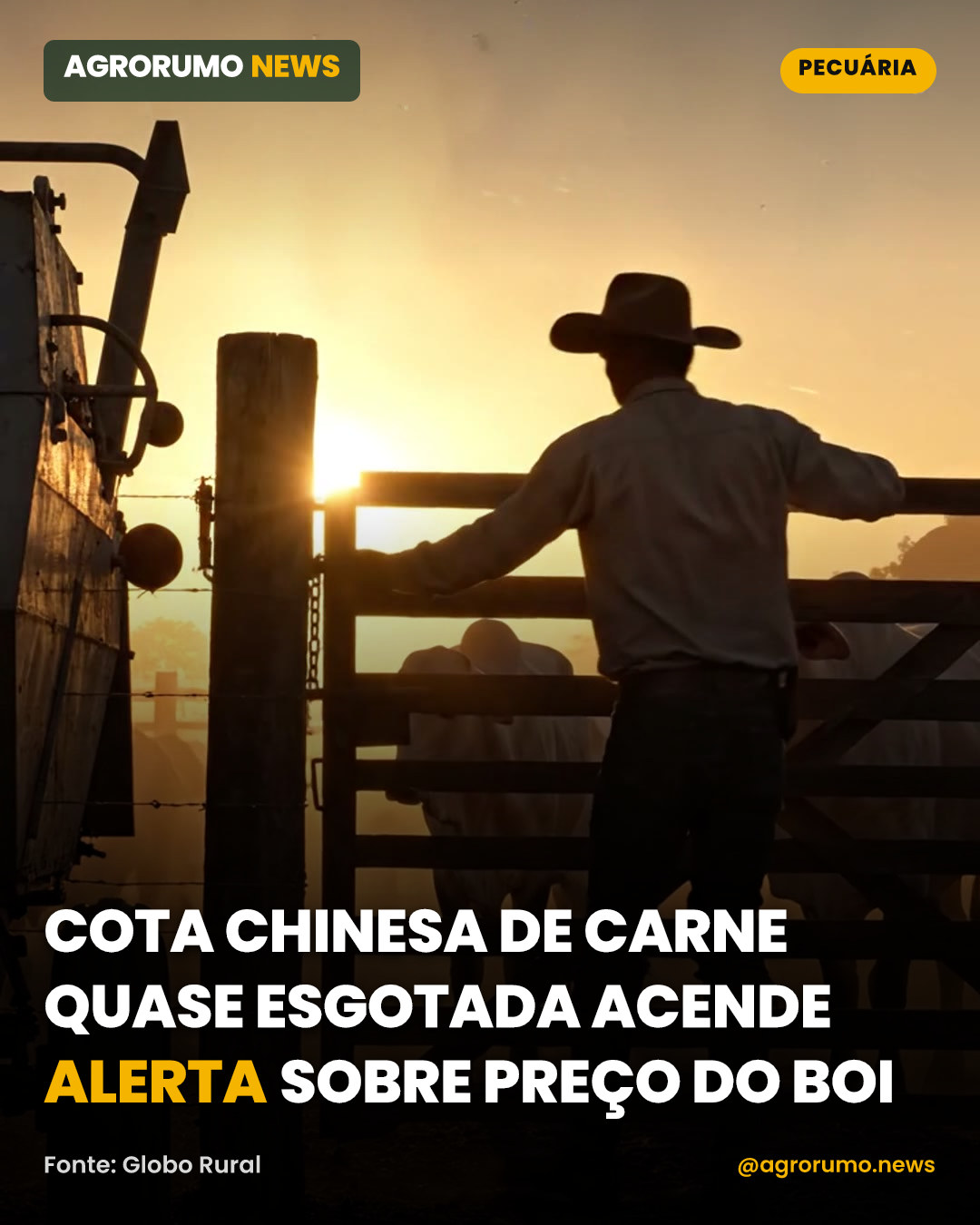 Cota chinesa de carne quase esgotada acende alerta sobre preço do boi