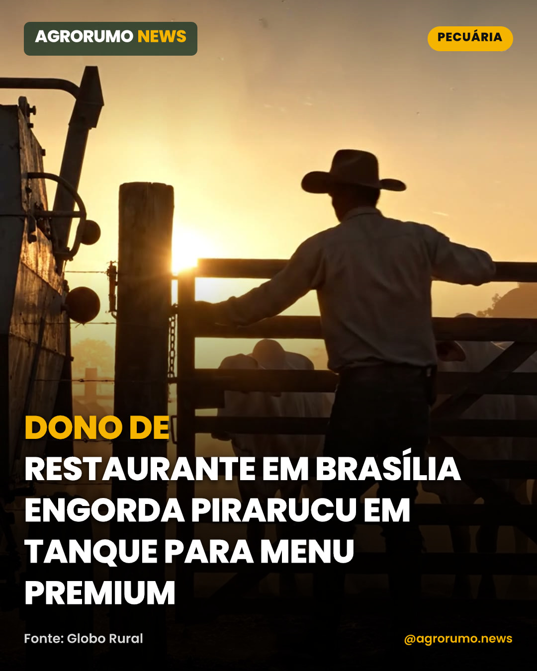 Dono de restaurante em Brasília engorda pirarucu em tanque para menu premium