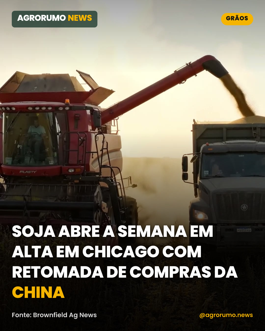 Soja abre a semana em alta em Chicago com retomada de compras da China