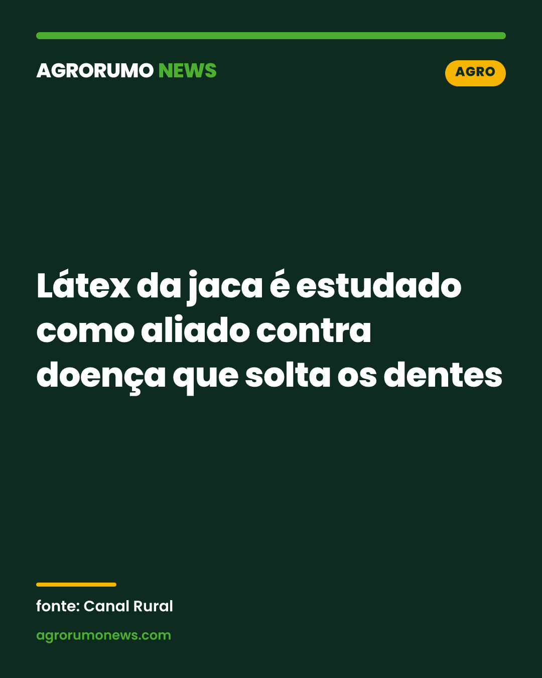 Látex da jaca é estudado como aliado contra doença que solta os dentes