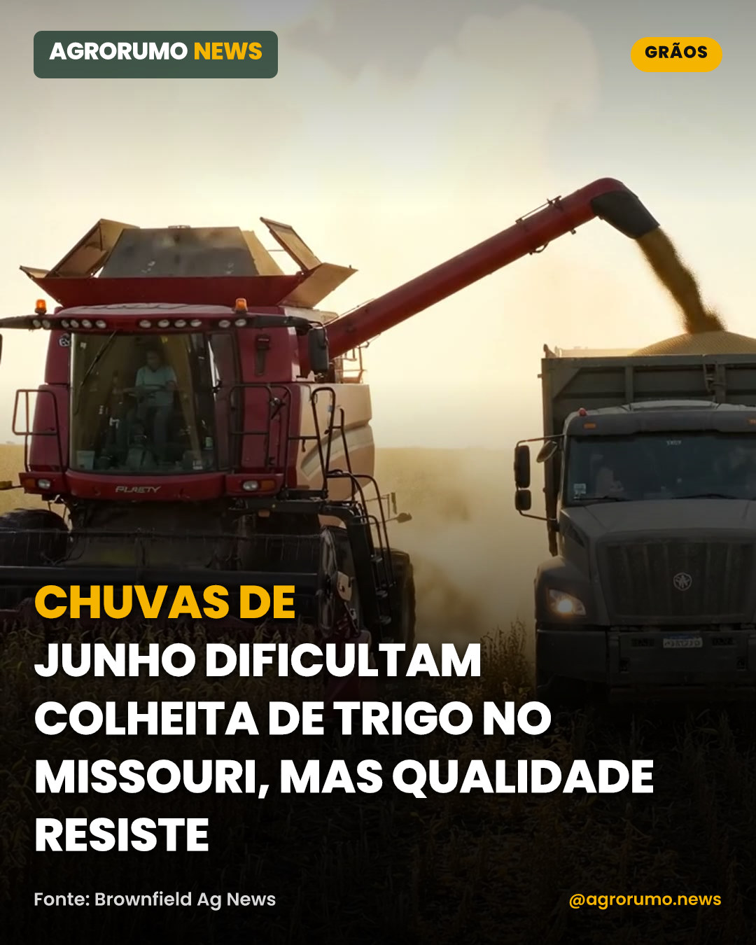 Chuvas de junho dificultam colheita de trigo no Missouri, mas qualidade resiste