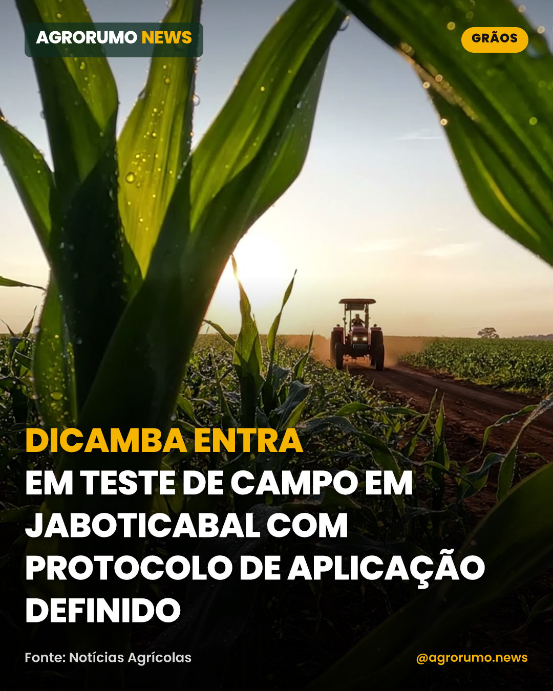 Dicamba entra em teste de campo em Jaboticabal com protocolo de aplicação definido