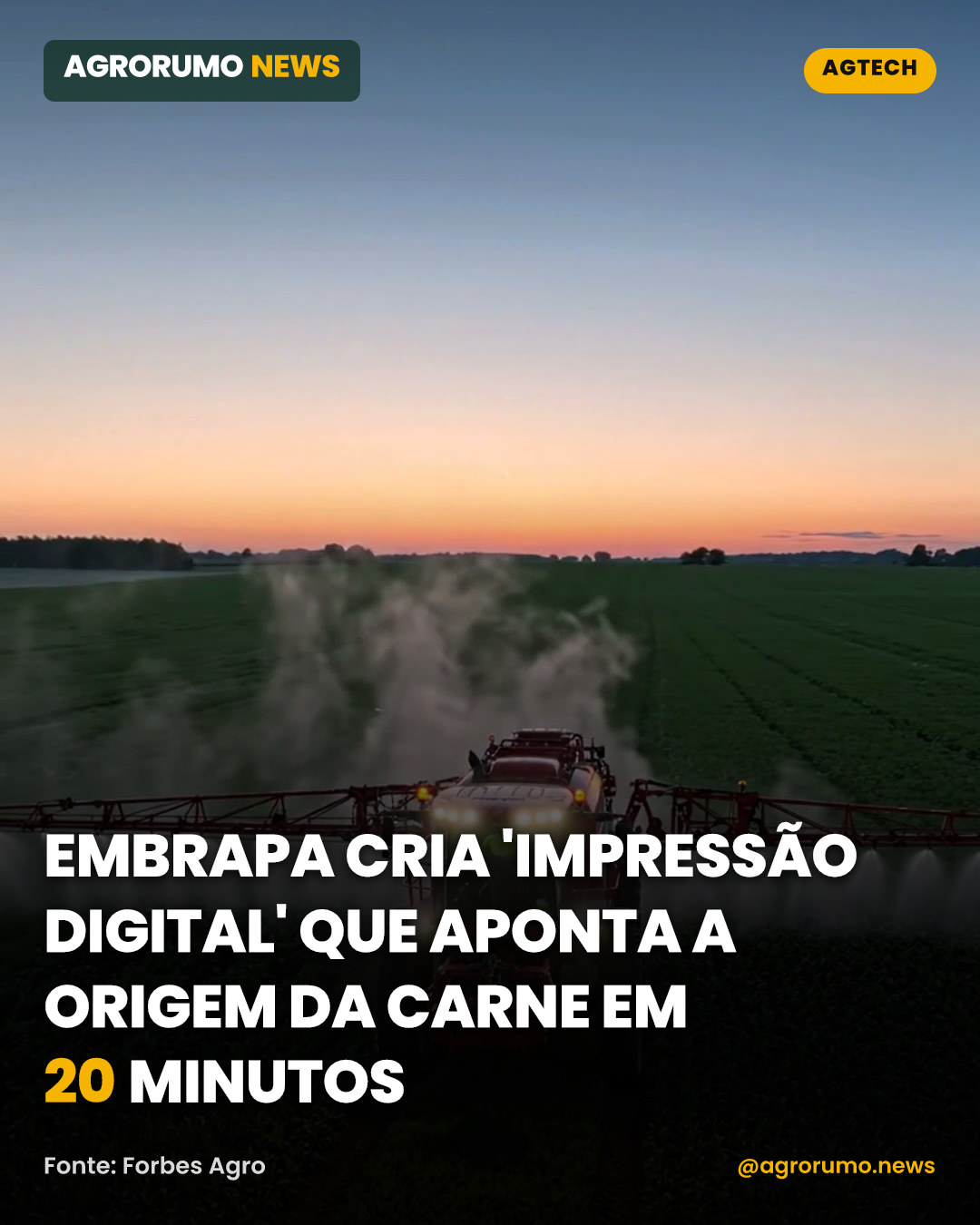 Embrapa cria 'impressão digital' que aponta a origem da carne em 20 minutos