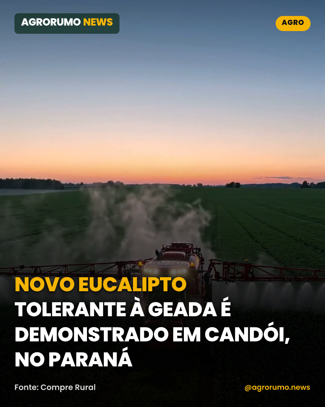 Novo eucalipto tolerante à geada é demonstrado em Candói, no Paraná