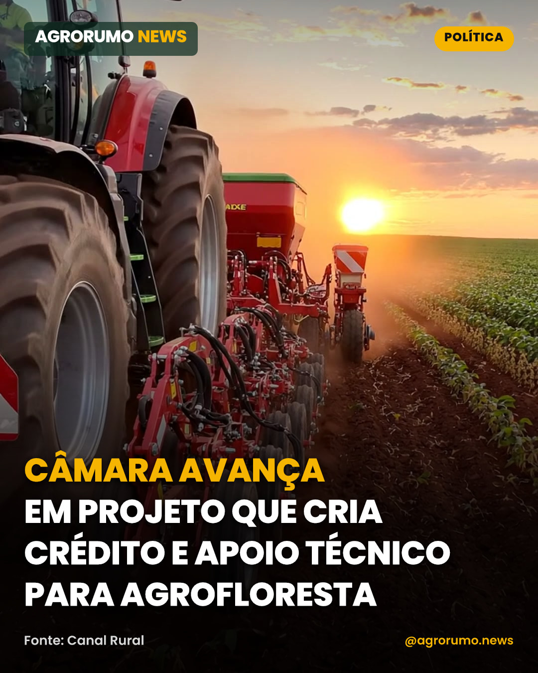 Câmara avança em projeto que cria crédito e apoio técnico para agrofloresta