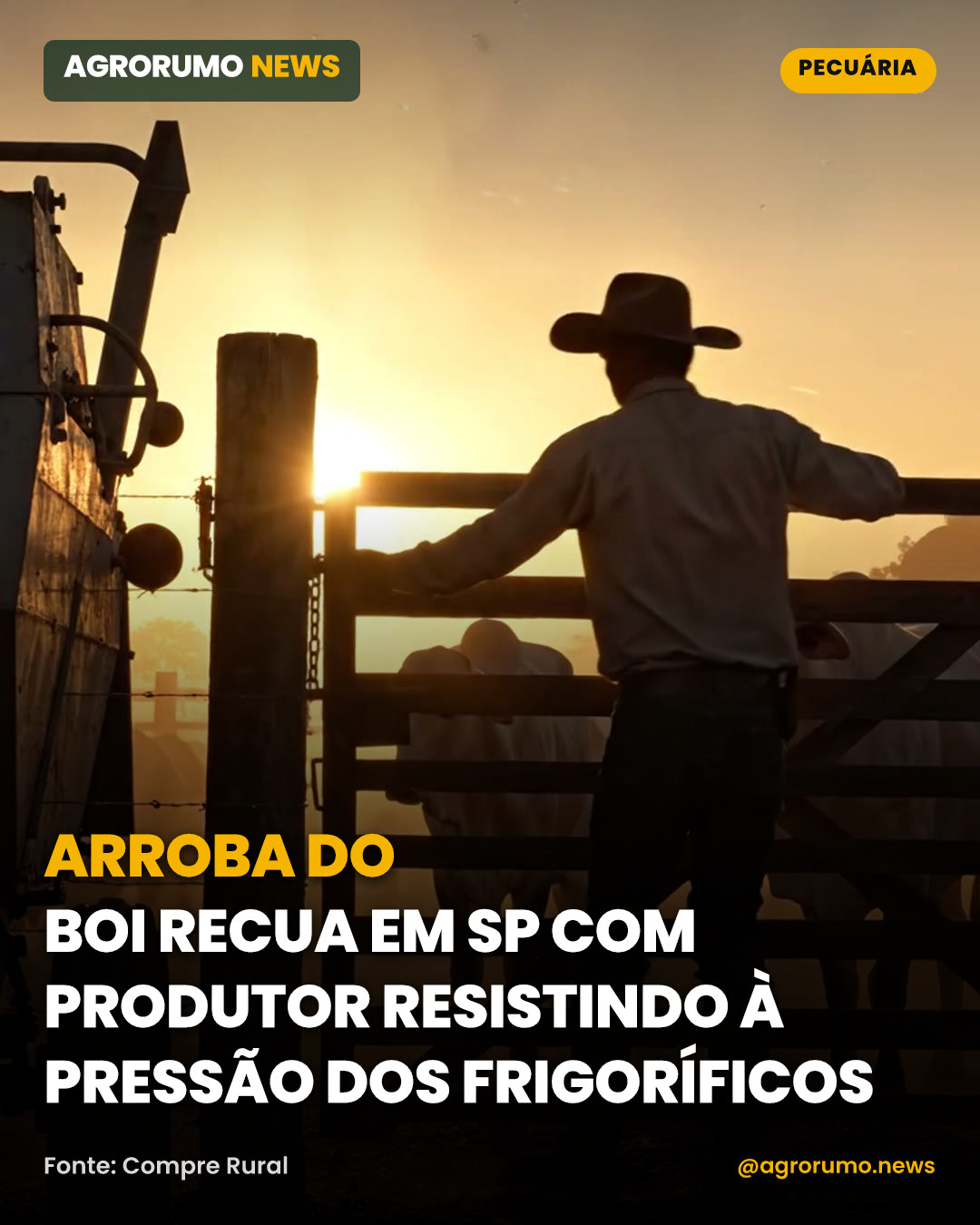 Arroba do boi recua em SP com produtor resistindo à pressão dos frigoríficos