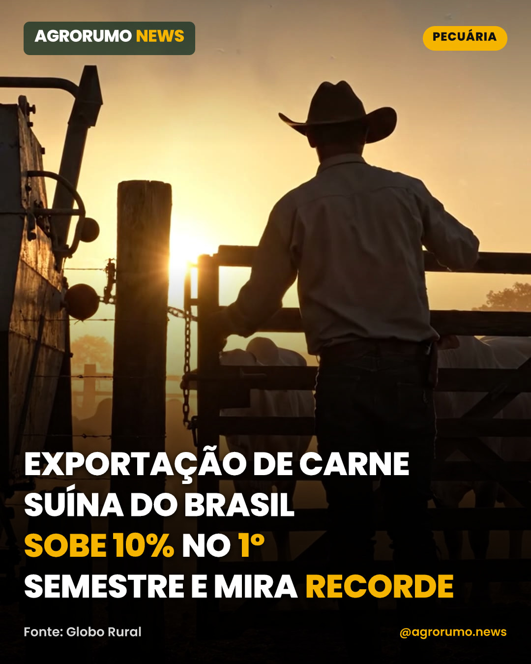 Exportação de carne suína do Brasil sobe 10% no 1º semestre e mira recorde