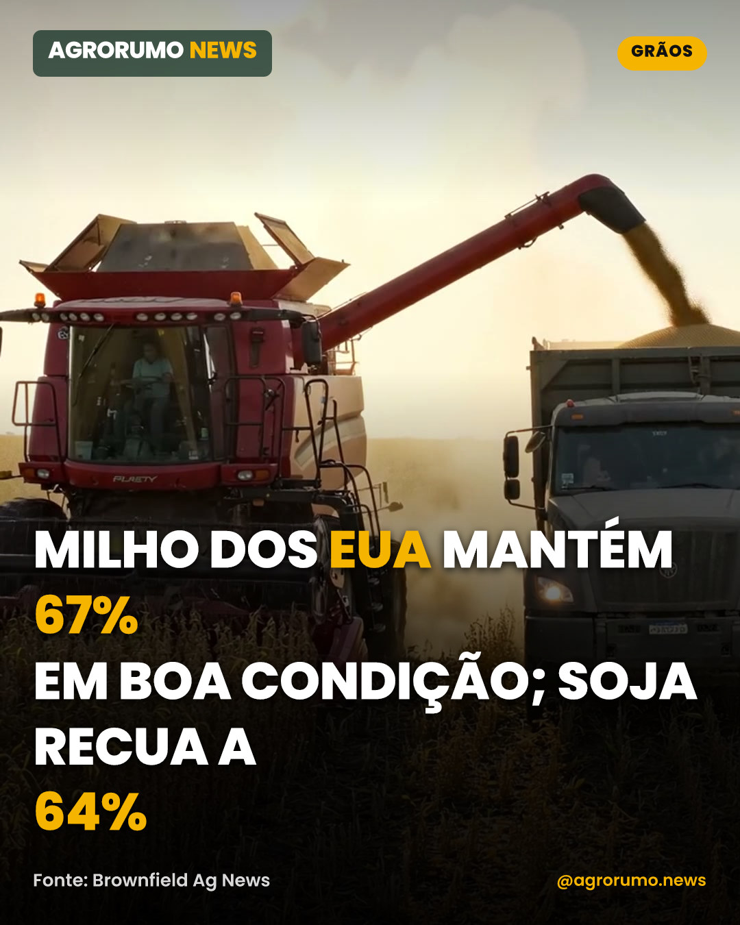 Milho dos EUA mantém 67% em boa condição; soja recua a 64%