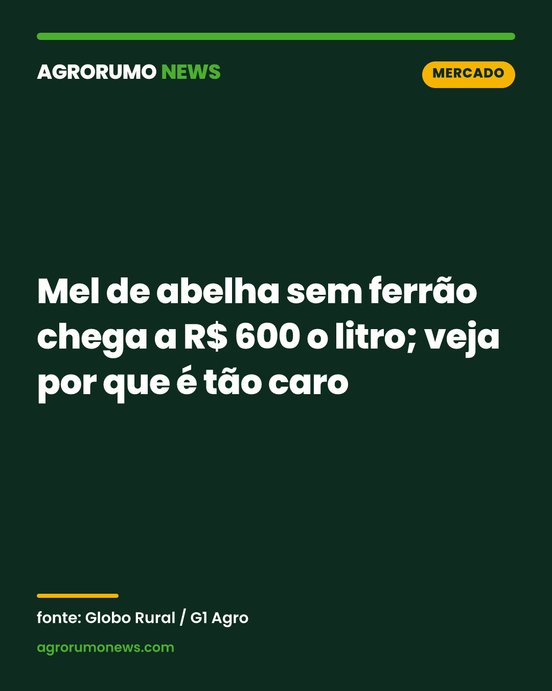 Mel de abelha sem ferrão chega a R$ 600 o litro; veja por que é tão caro
