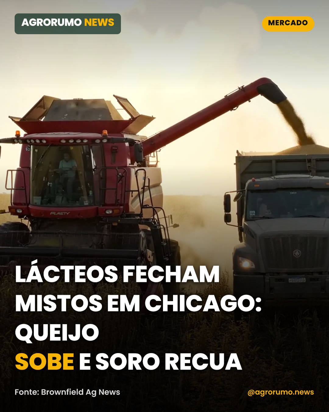 Lácteos fecham mistos em Chicago: queijo sobe e soro recua