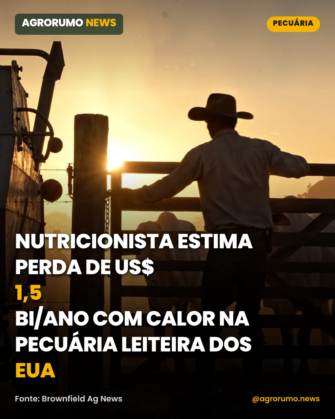 Nutricionista estima perda de US$ 1,5 bi/ano com calor na pecuária leiteira dos EUA