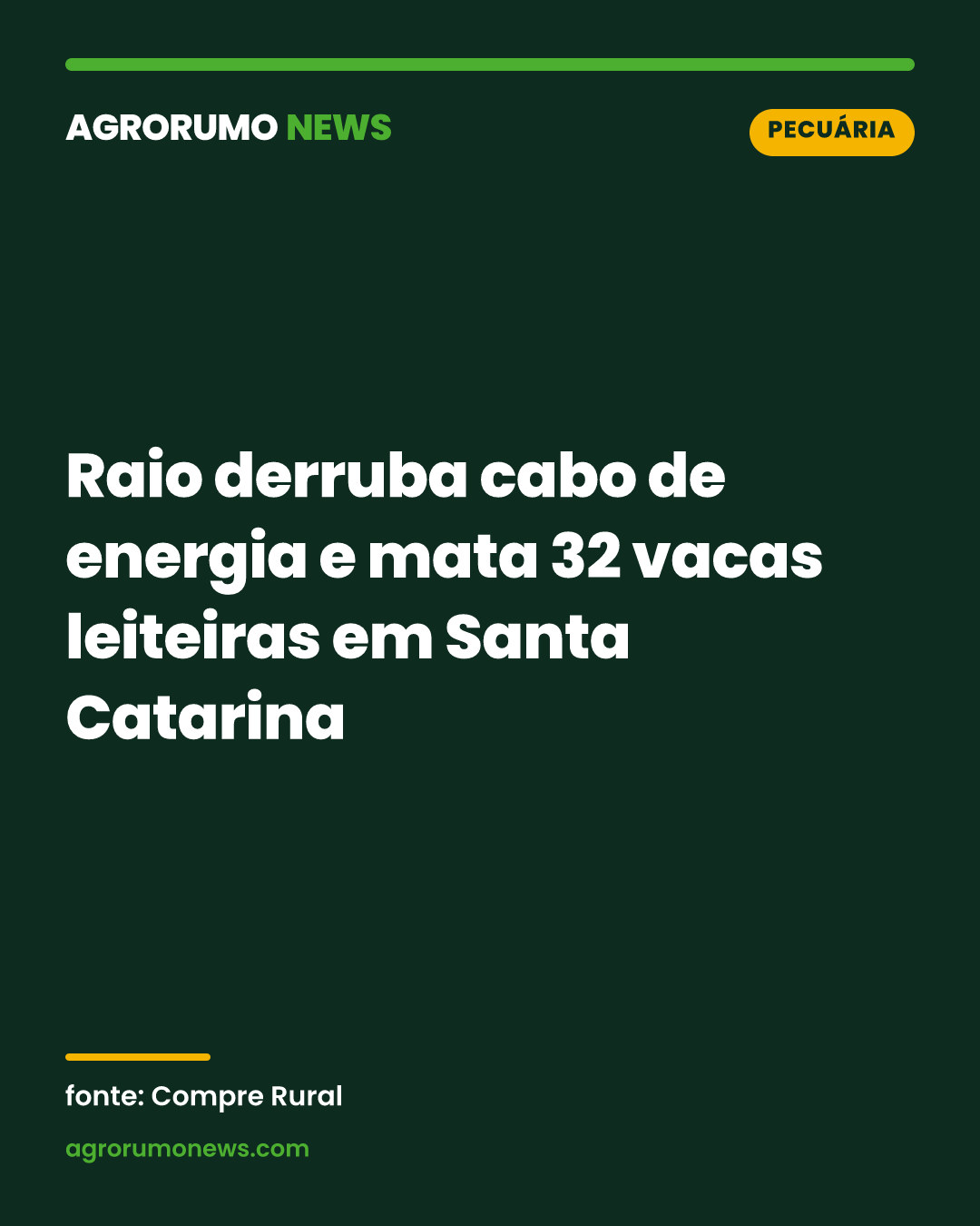 Raio derruba cabo de energia e mata 32 vacas leiteiras em Santa Catarina