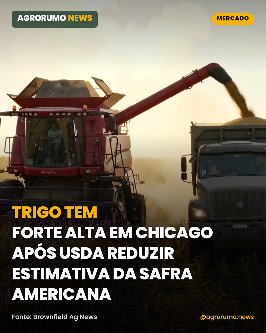 Trigo tem forte alta em Chicago após USDA reduzir estimativa da safra americana