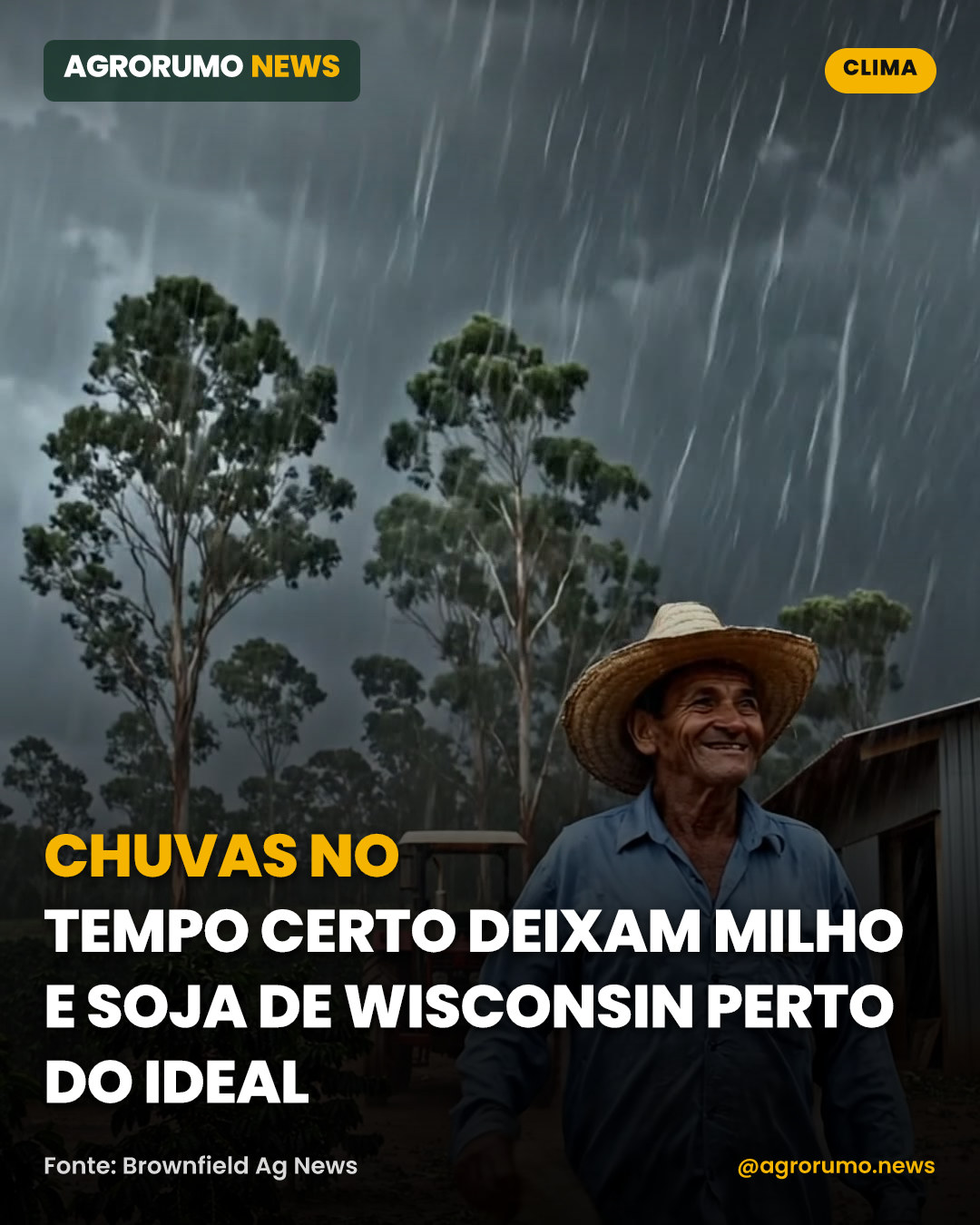 Chuvas no tempo certo deixam milho e soja de Wisconsin perto do ideal
