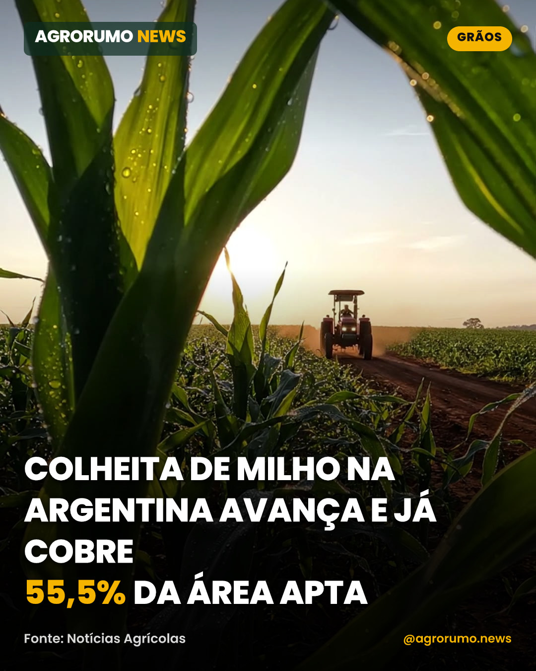 Colheita de milho na Argentina avança e já cobre 55,5% da área apta