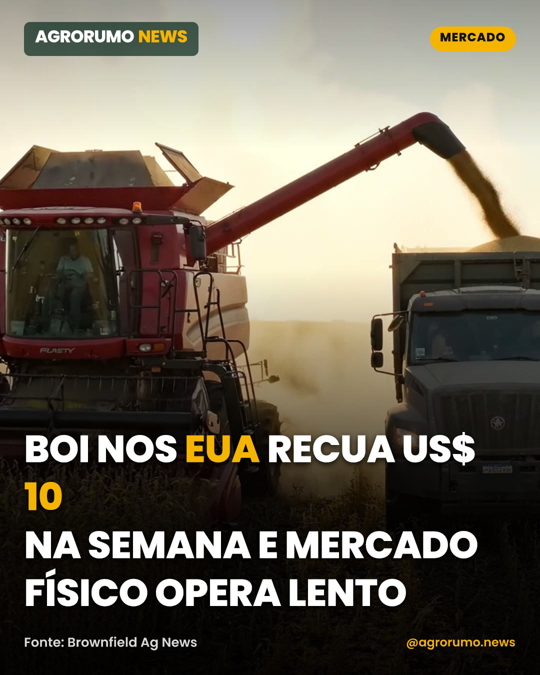 Boi nos EUA recua US$ 10 na semana e mercado físico opera lento