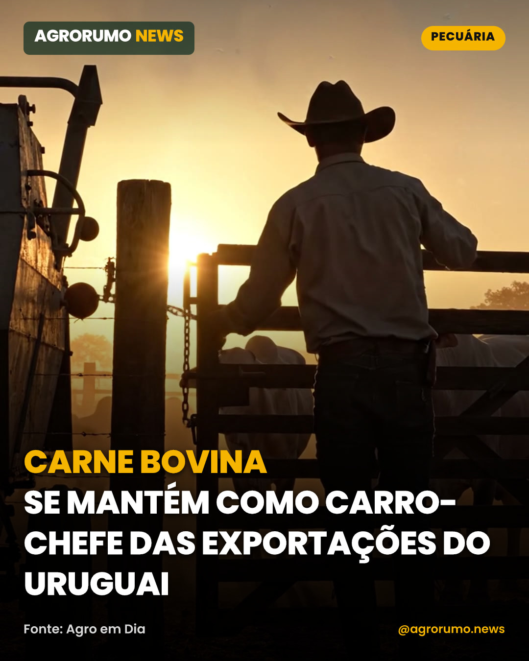 Carne bovina se mantém como carro-chefe das exportações do Uruguai