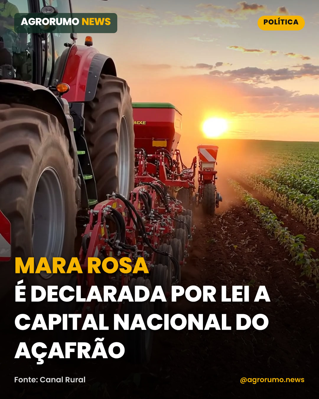 Mara Rosa é declarada por lei a Capital Nacional do Açafrão
