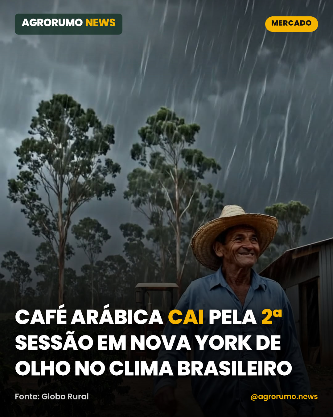 Café arábica cai pela 2ª sessão em Nova York de olho no clima brasileiro