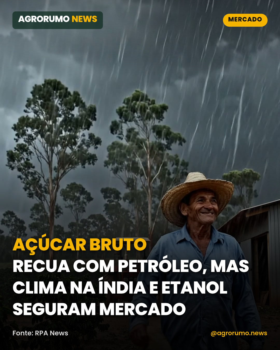 Açúcar bruto recua com petróleo, mas clima na Índia e etanol seguram mercado