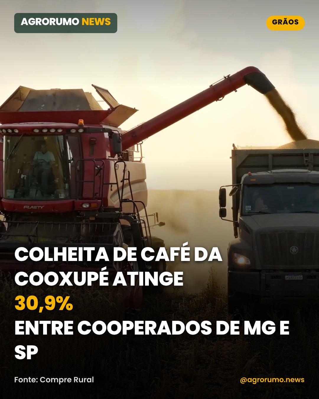 Colheita de café da Cooxupé atinge 30,9% entre cooperados de MG e SP