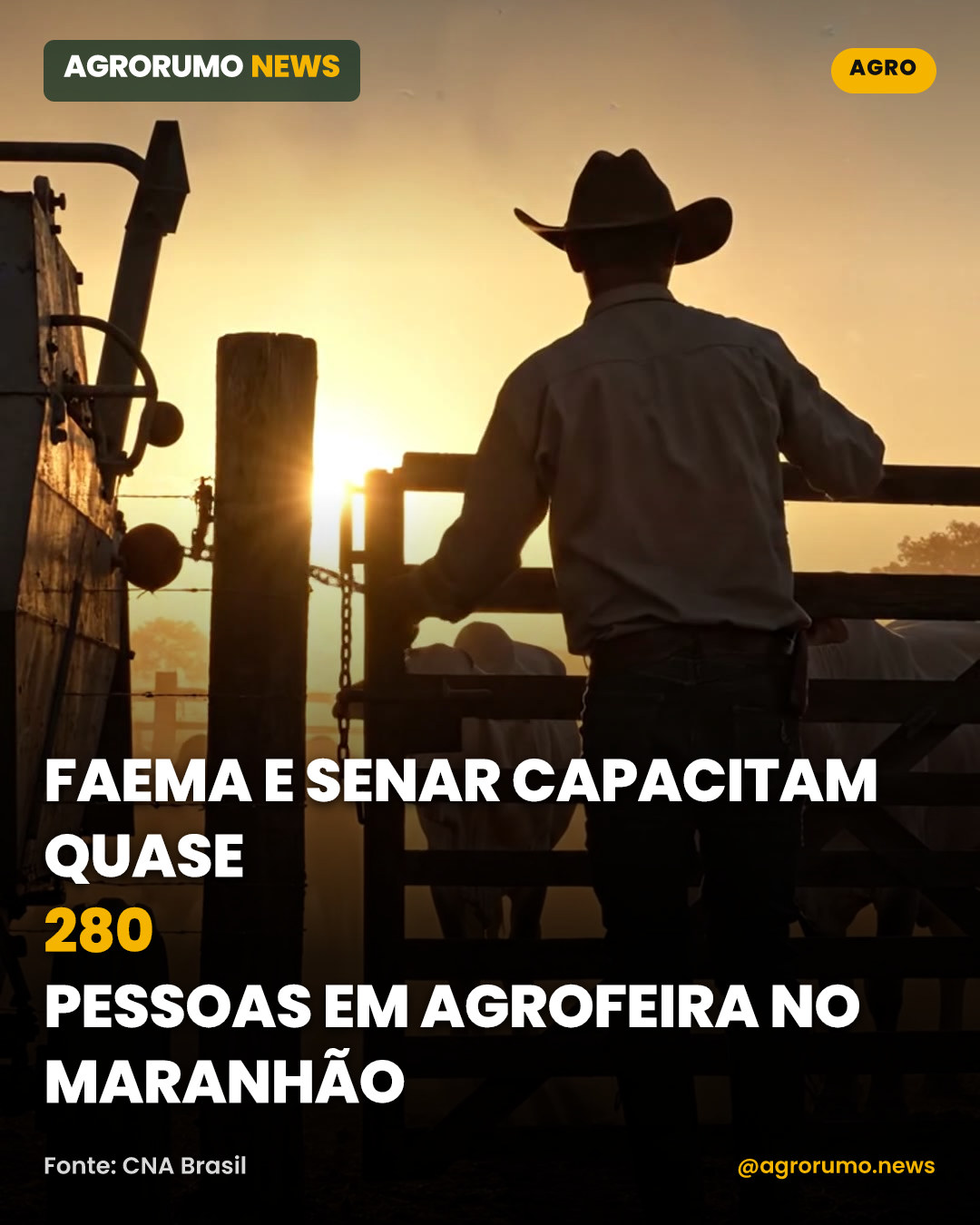 Faema e Senar capacitam quase 280 pessoas em agrofeira no Maranhão
