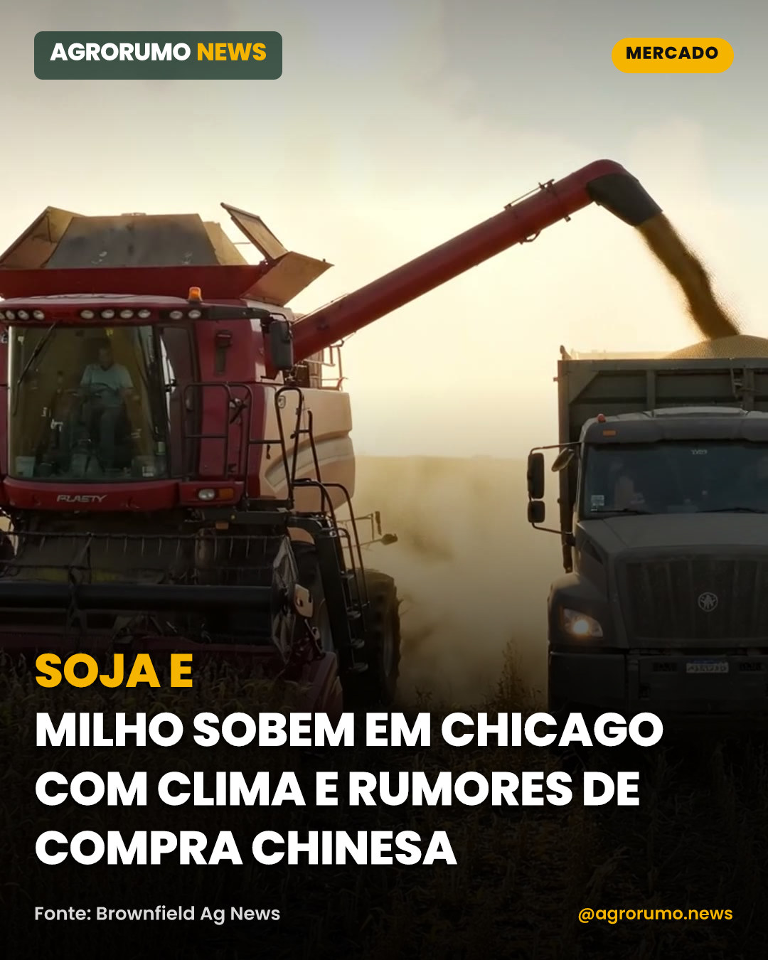 Soja e milho sobem em Chicago com clima e rumores de compra chinesa