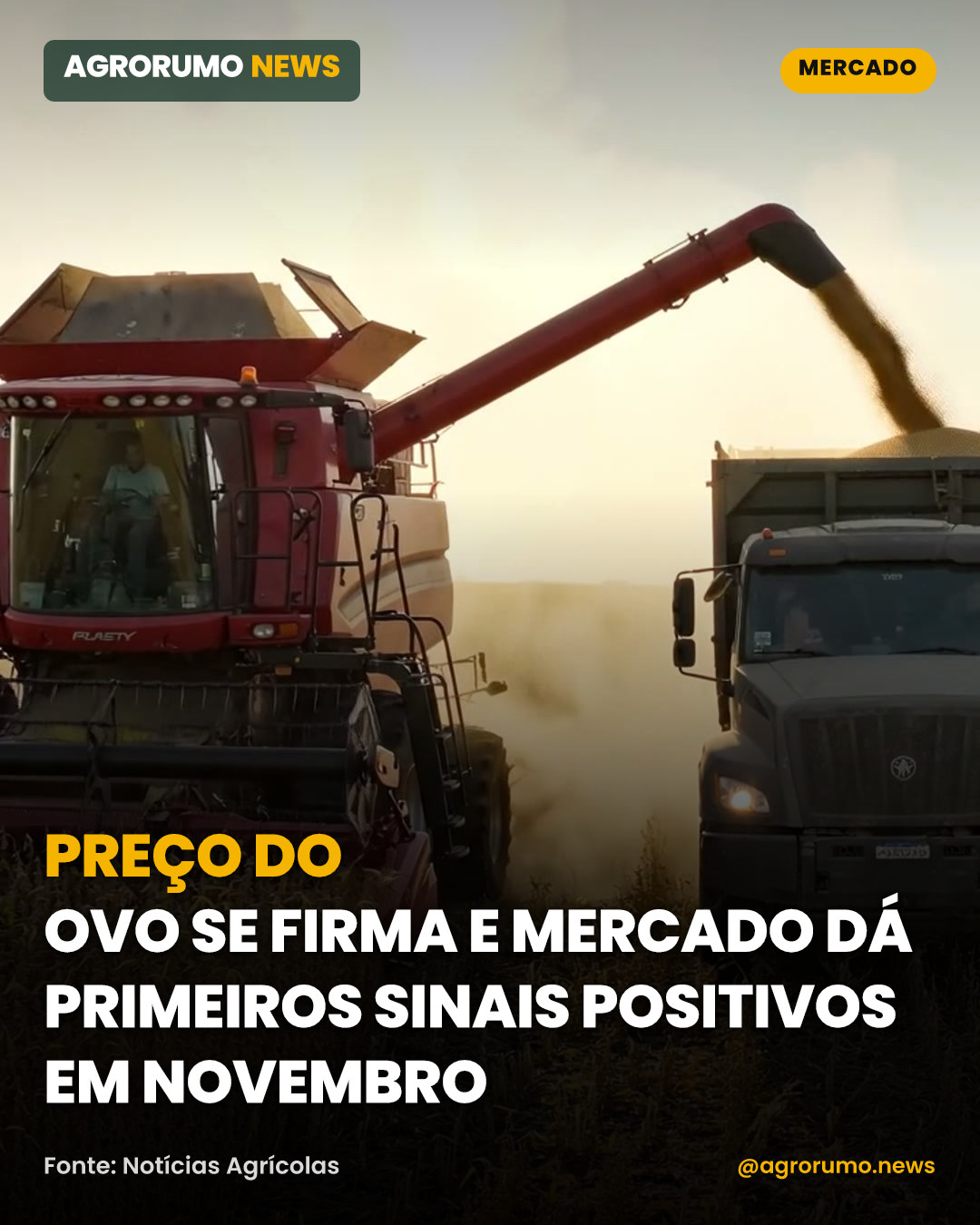 Preço do ovo se firma e mercado dá primeiros sinais positivos em novembro