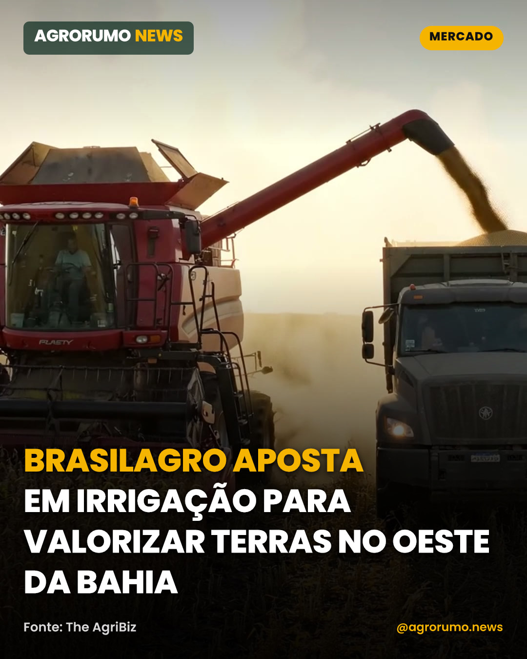 BrasilAgro aposta em irrigação para valorizar terras no oeste da Bahia