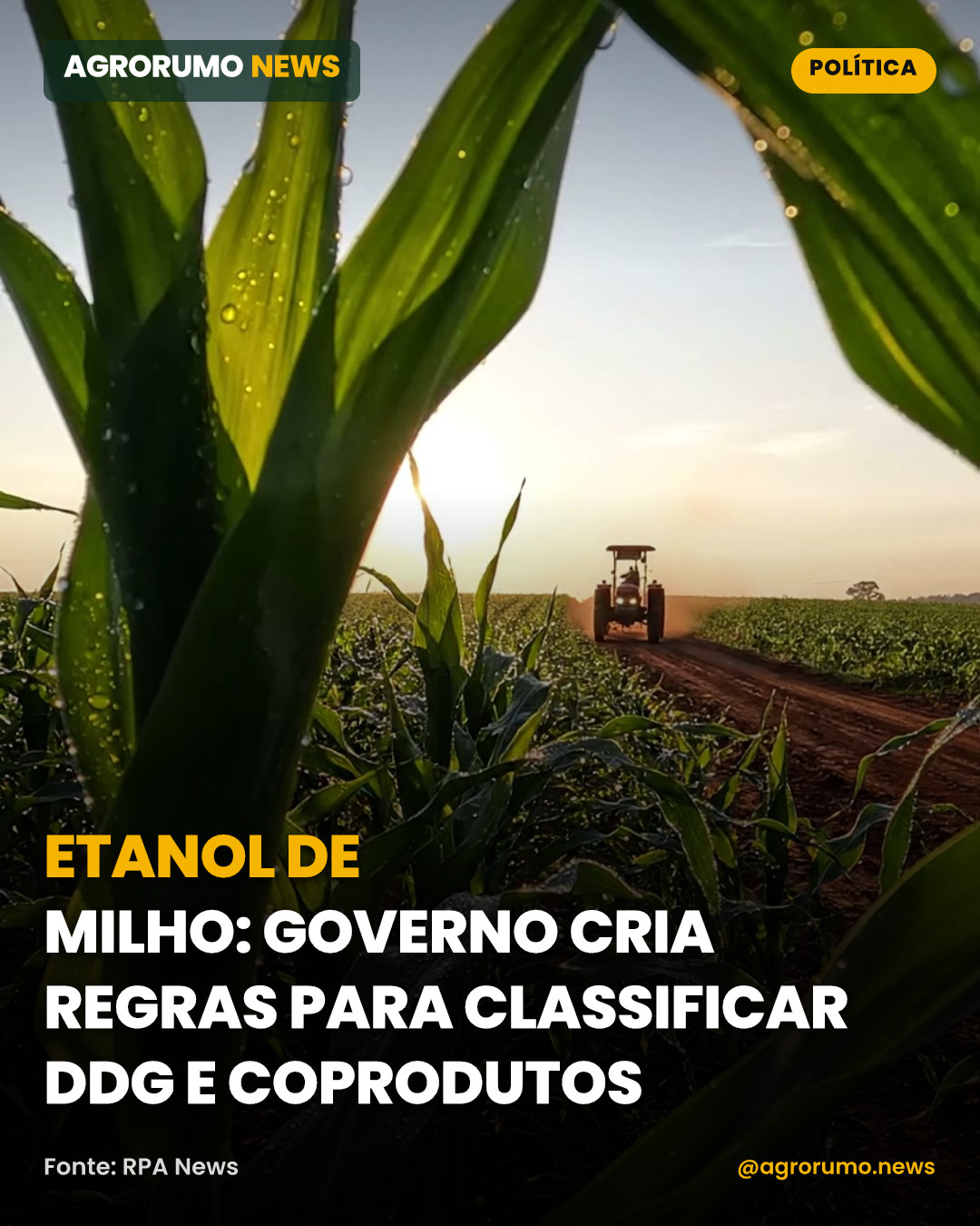 Etanol de milho: governo cria regras para classificar DDG e coprodutos