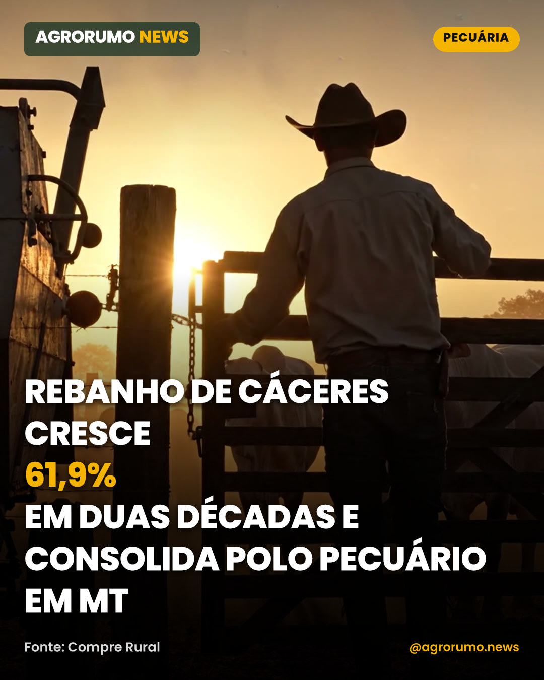 Rebanho de Cáceres cresce 61,9% em duas décadas e consolida polo pecuário em MT
