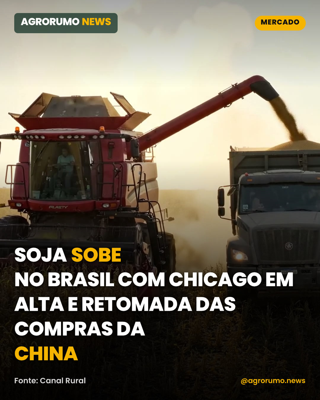 Soja sobe no Brasil com Chicago em alta e retomada das compras da China