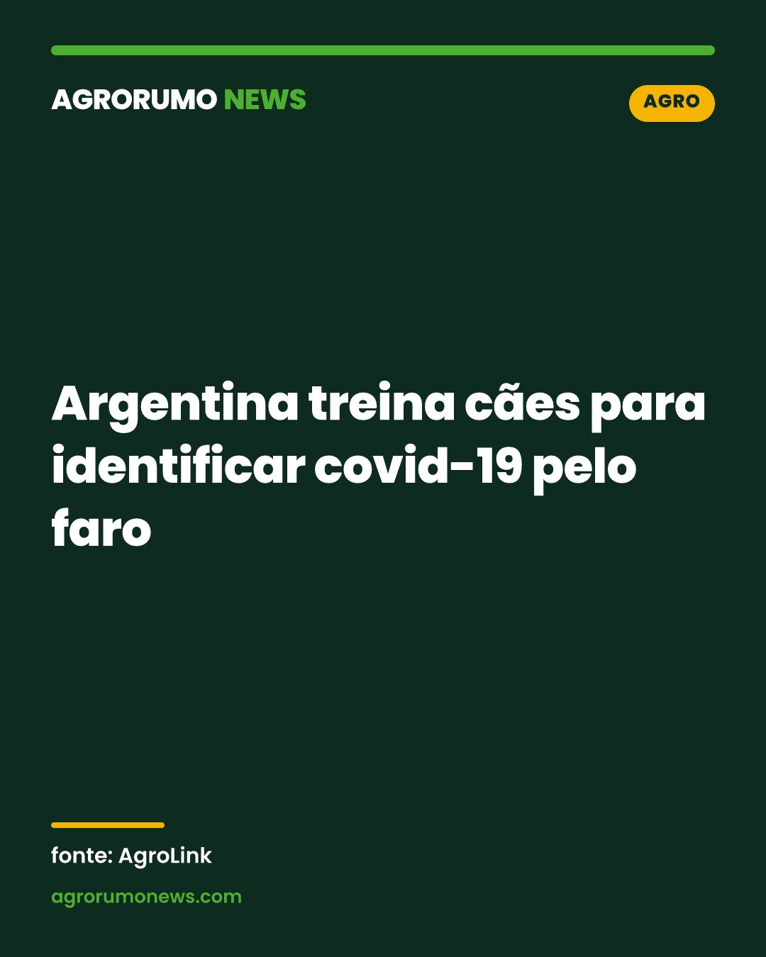 Argentina treina cães para identificar covid-19 pelo faro