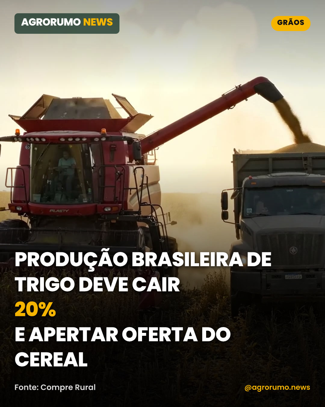 Produção brasileira de trigo deve cair 20% e apertar oferta do cereal