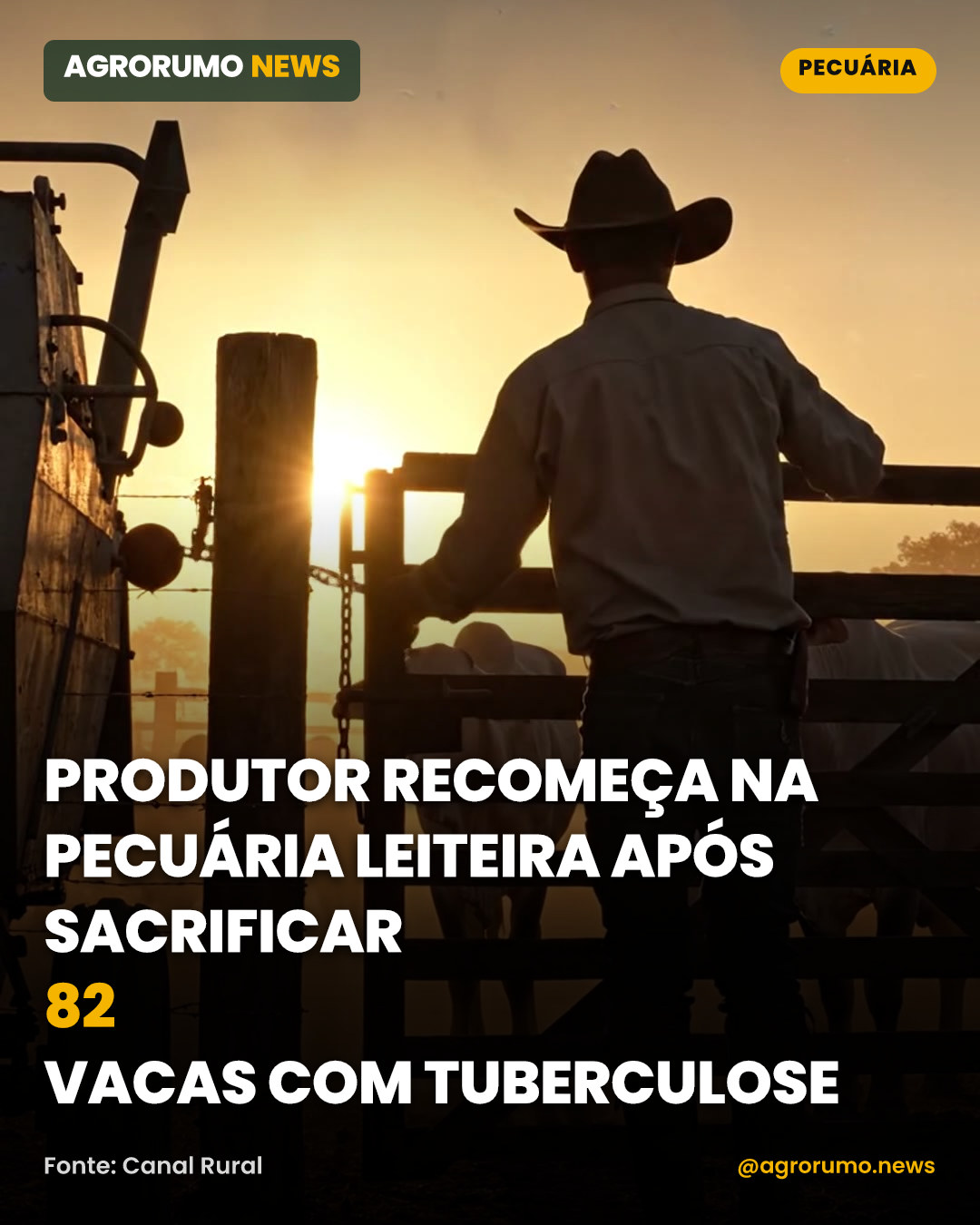 Produtor recomeça na pecuária leiteira após sacrificar 82 vacas com tuberculose