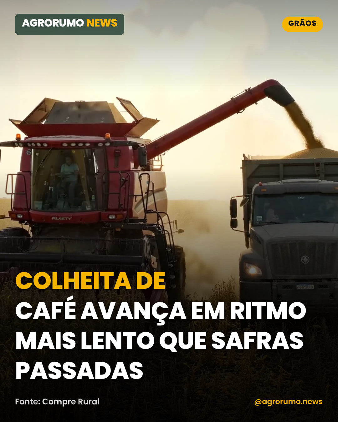 Colheita de café avança em ritmo mais lento que safras passadas
