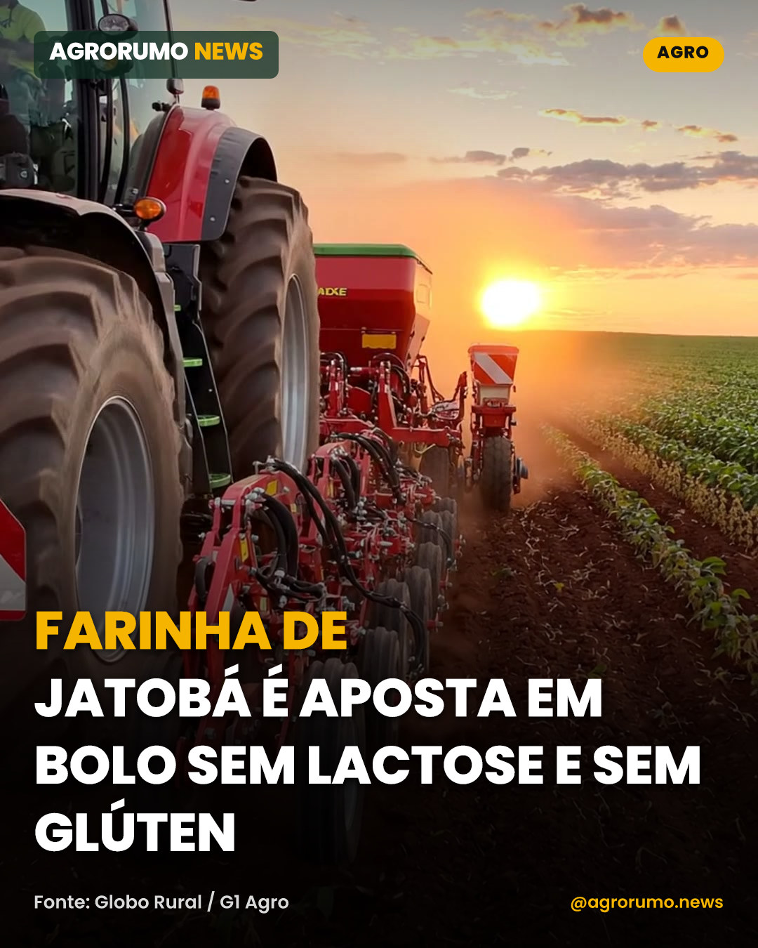 Farinha de jatobá é aposta em bolo sem lactose e sem glúten