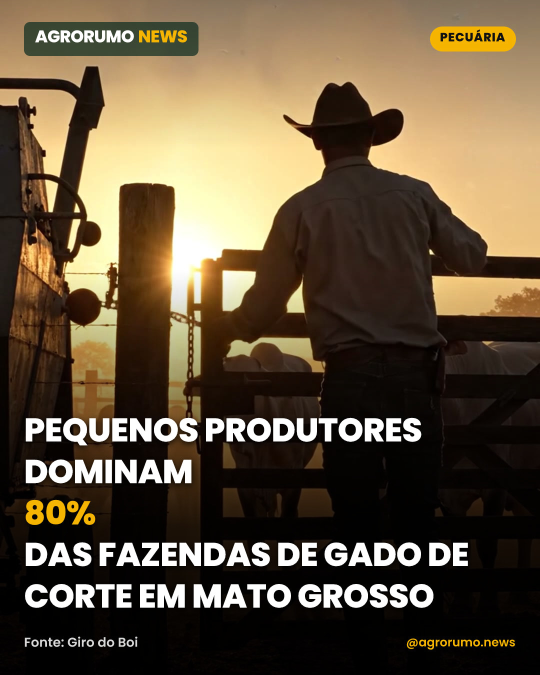 Pequenos produtores dominam 80% das fazendas de gado de corte em Mato Grosso