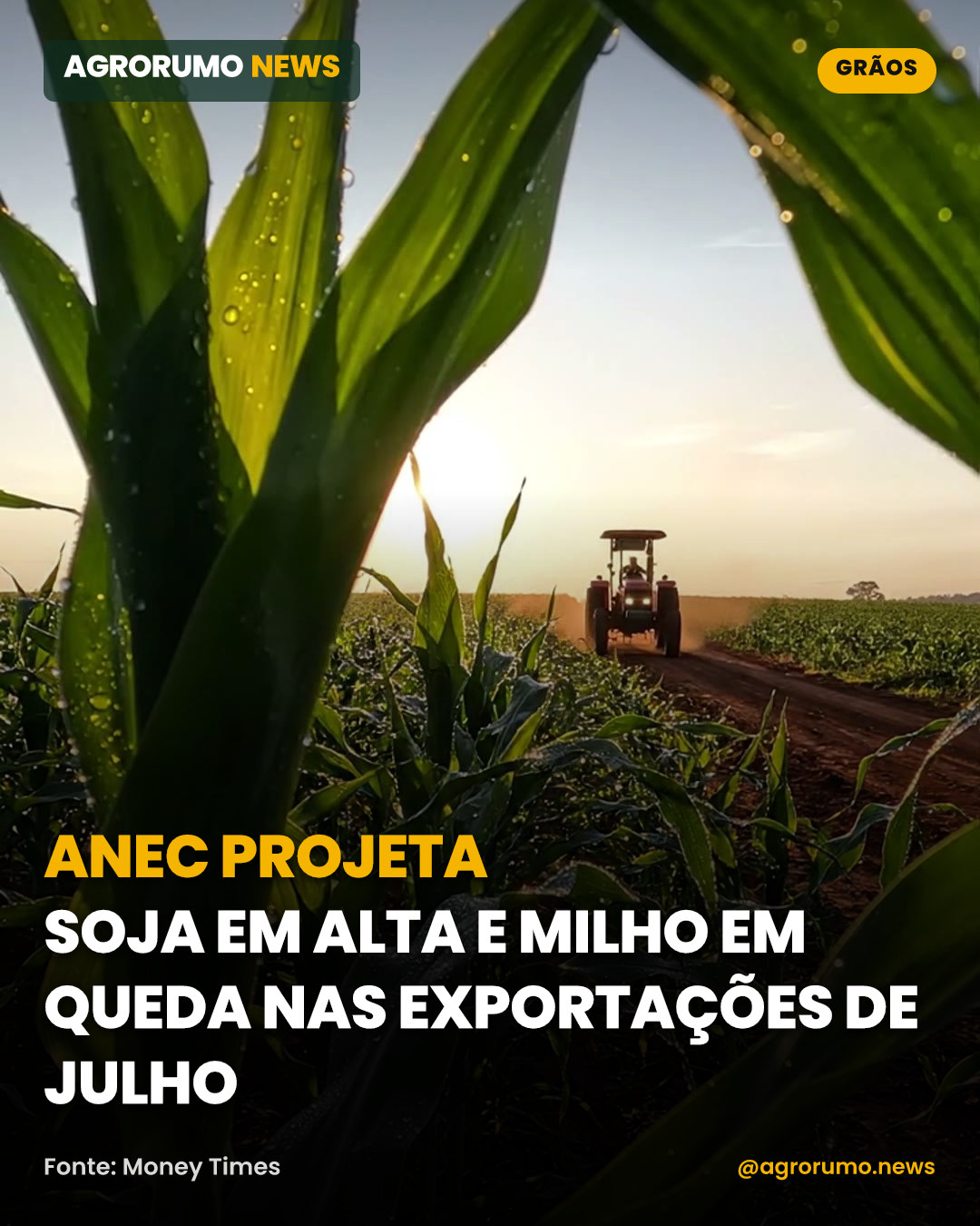 Anec projeta soja em alta e milho em queda nas exportações de julho