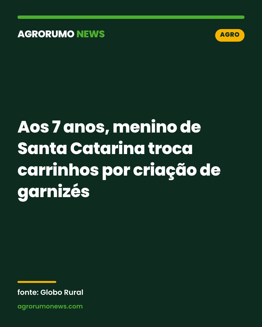 Aos 7 anos, menino de Santa Catarina troca carrinhos por criação de garnizés