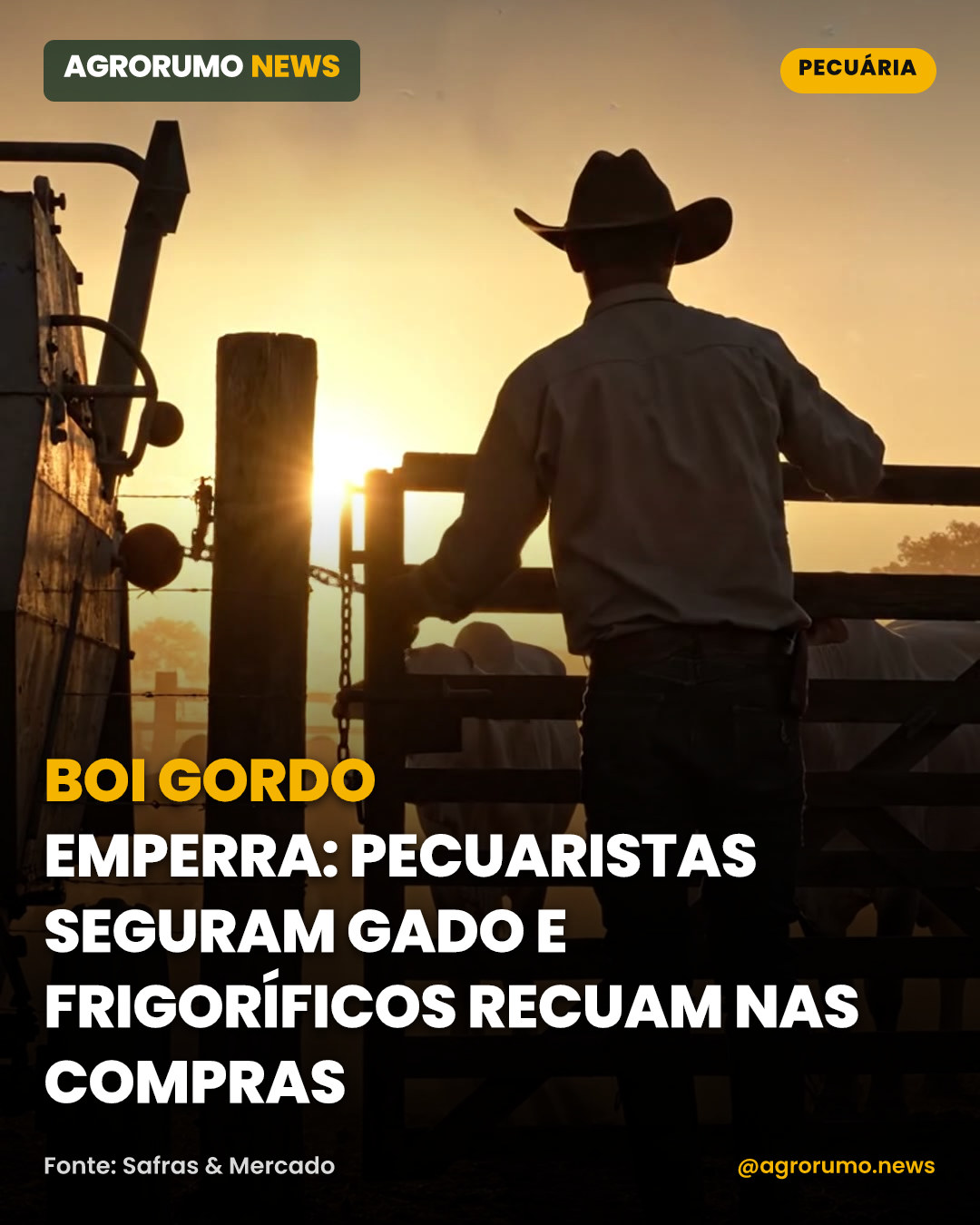 Boi gordo emperra: pecuaristas seguram gado e frigoríficos recuam nas compras