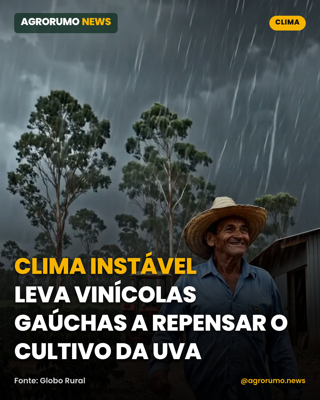 Clima instável leva vinícolas gaúchas a repensar o cultivo da uva