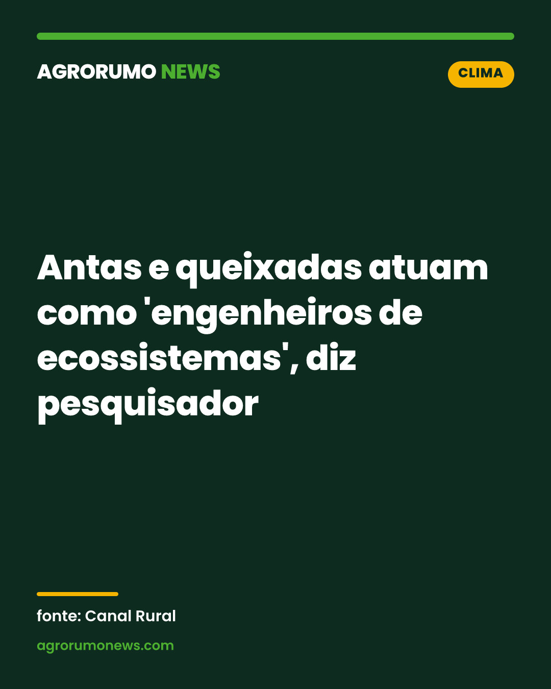 Antas e queixadas atuam como 'engenheiros de ecossistemas', diz pesquisador