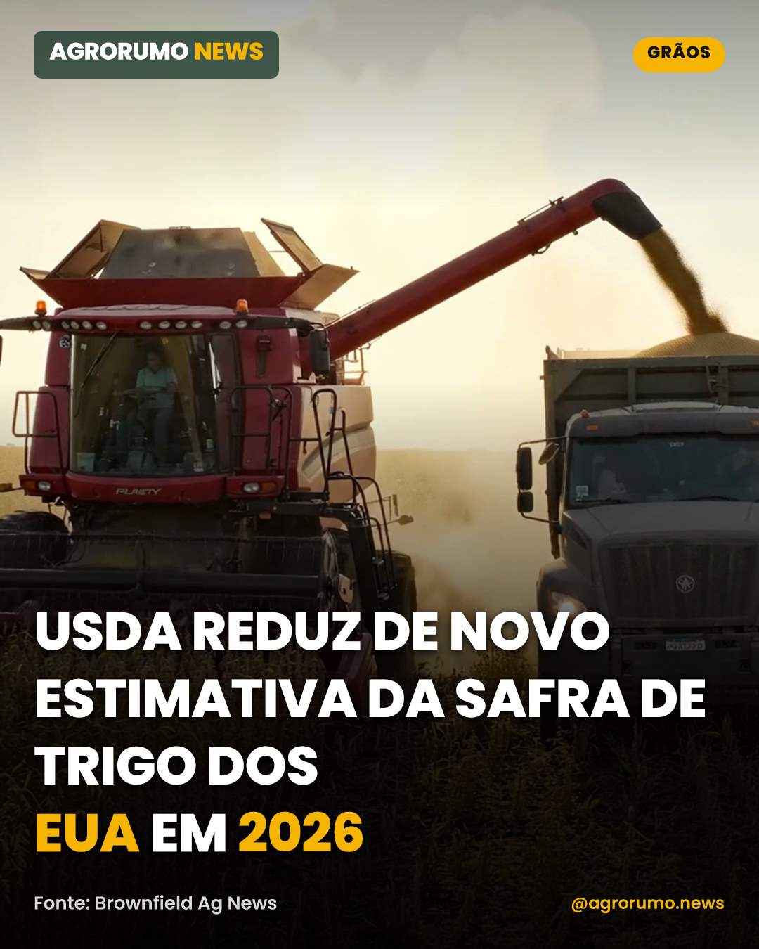 USDA reduz de novo estimativa da safra de trigo dos EUA em 2026