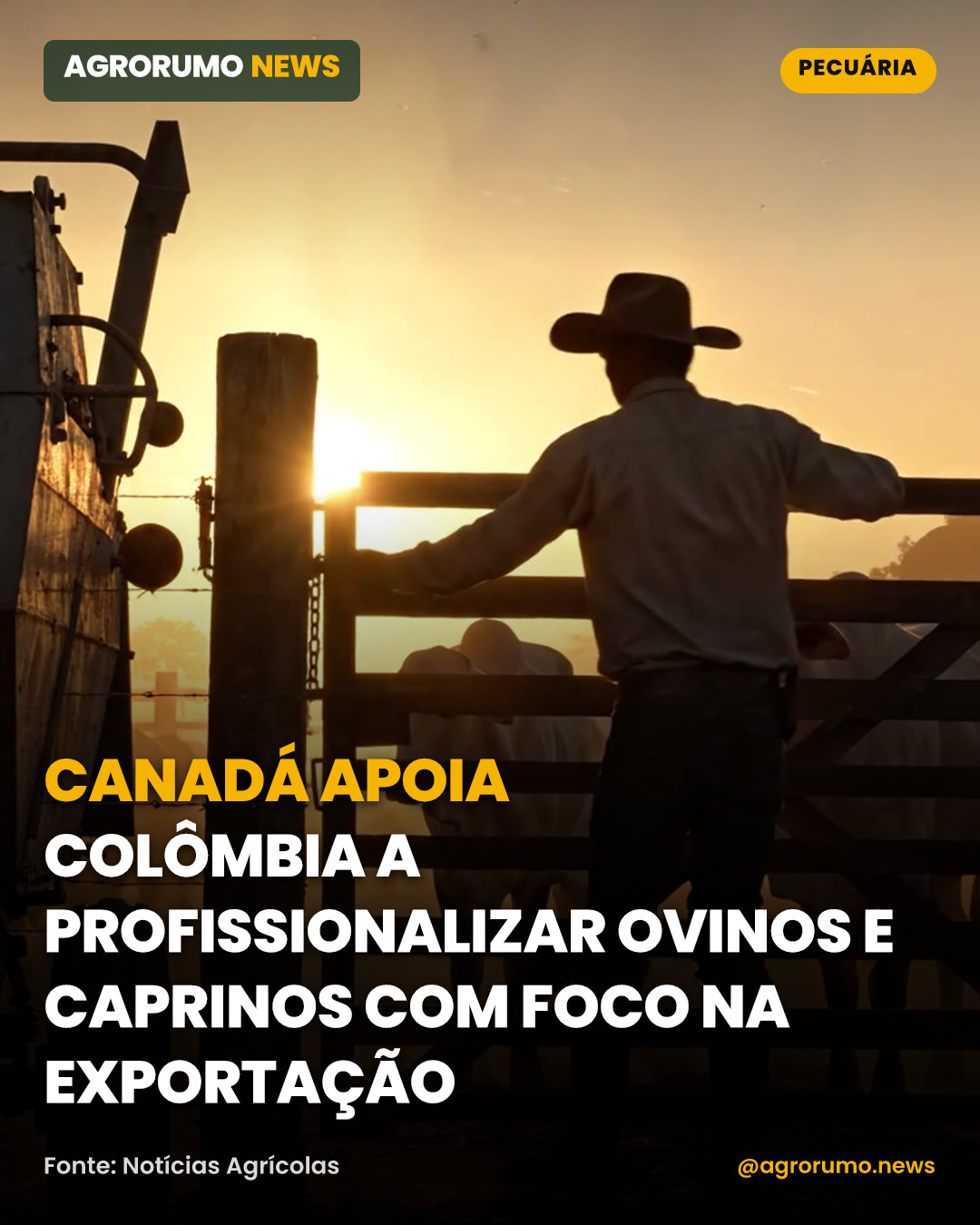 Canadá apoia Colômbia a profissionalizar ovinos e caprinos com foco na exportação