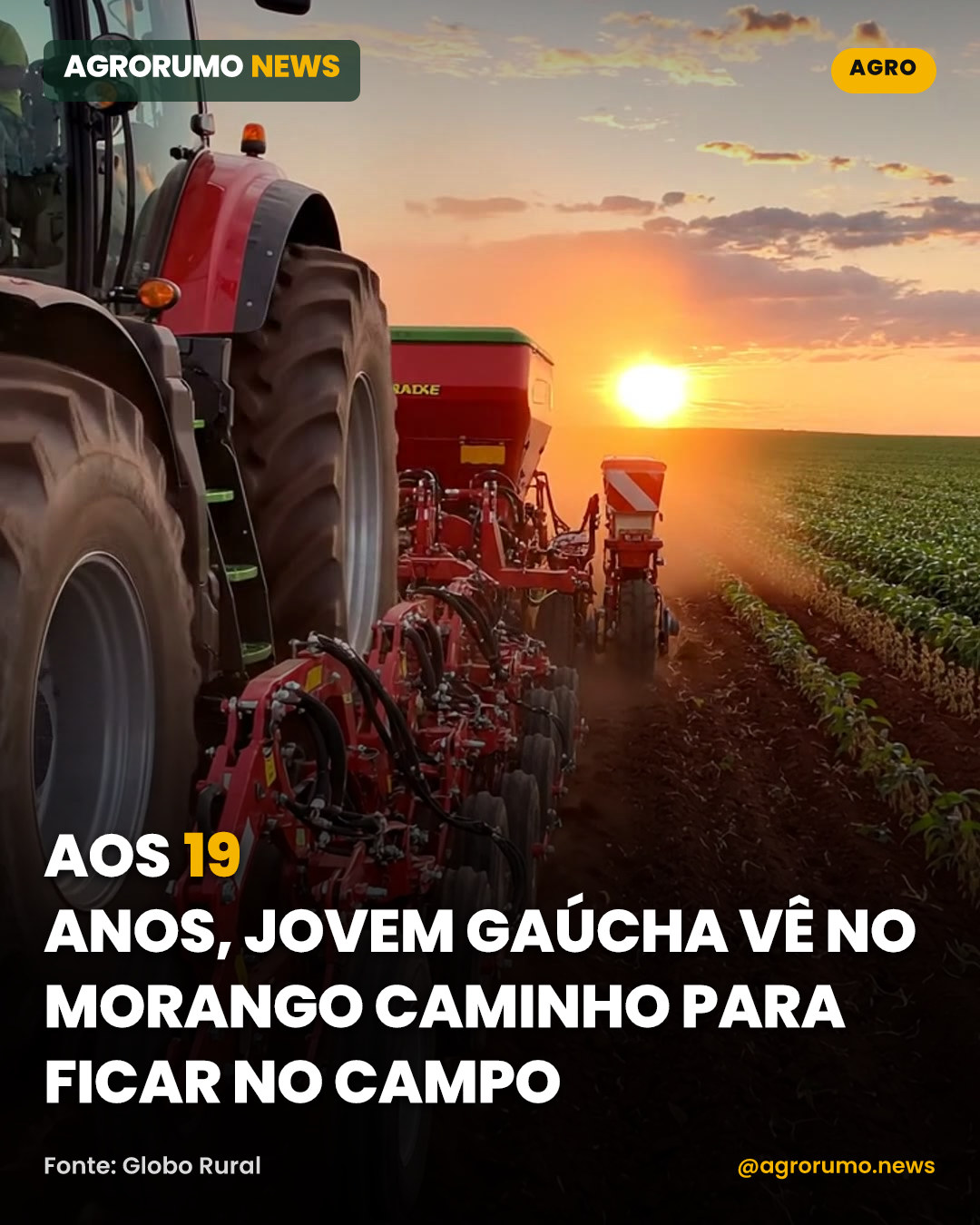 Aos 19 anos, jovem gaúcha vê no morango caminho para ficar no campo