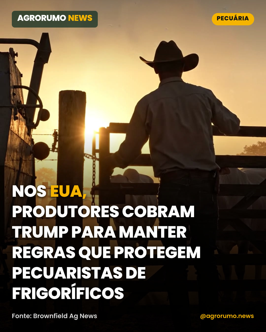 Nos EUA, produtores cobram Trump para manter regras que protegem pecuaristas de frigoríficos